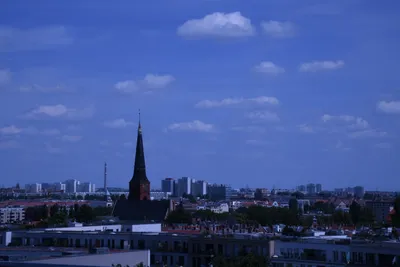 DSC_1757 (Large).JPG